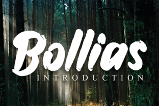Bollias: A Casual Elegant Handwritten Font for Digital Brands