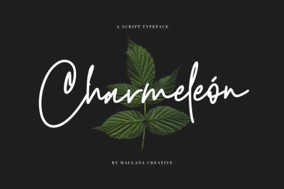 Charmeleon: A Script Handwritten Font for Elegant Digital Branding