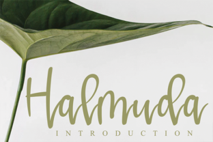 Halmuda: A Script Handwritten Font for Creative Web Design