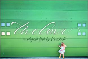 Thelma: A Romantic Script Handwritten Font for Elegant Branding